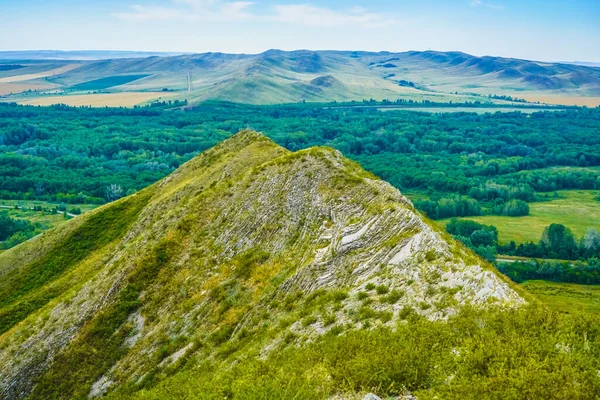 Gröna Berg Täckta Med Skog Blå Himmel Bakgrund Panorama Bergsgrönt — Stockfoto