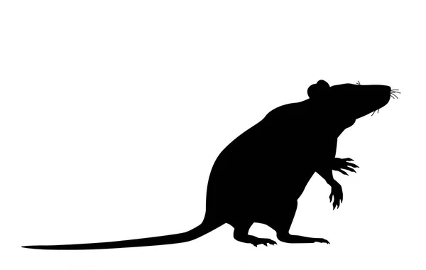 Black Mouse Rat Linear Icon Rodent Illustration Pest Contour Symbol — Stock Photo, Image