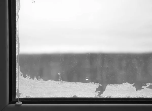 Lodowate Okno Śnieg Zimowe Dni — Zdjęcie stockowe