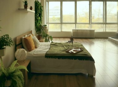 Büyük boy yatak, beyaz ve yeşil yatak, büyük pencere ve parlak bir otel odasının içinde duvarda bir resim. yeşil bitkiler yatağın etrafında.