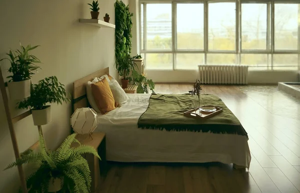 白と緑の寝具 大きな窓と明るいホテルの部屋のインテリアで壁に絵とキングサイズベッド ベッドの周りの緑の植物 — ストック写真