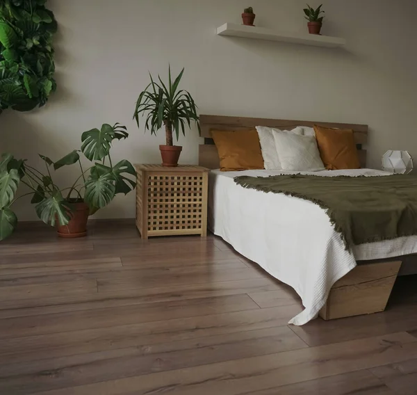 침실은 색이다 고전적 침실의 초록빛 — 스톡 사진