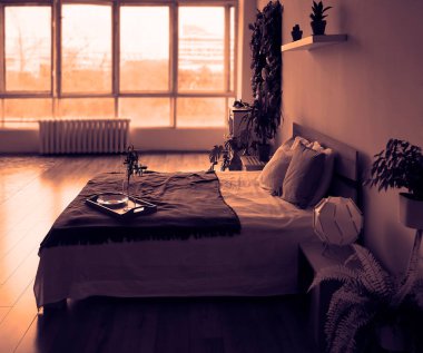 Büyük boy yatak, beyaz ve yeşil yatak, büyük pencere ve parlak bir otel odasının içinde duvarda bir resim. yeşil bitkiler yatağın etrafında.