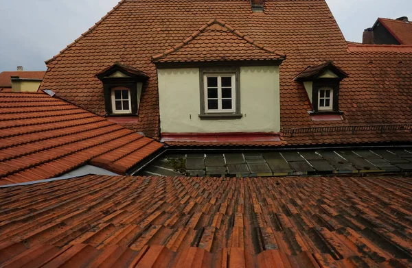 Techo Viejo Marrón Con Musgo Verde Tejados Azulejos Casa Europea — Foto de Stock