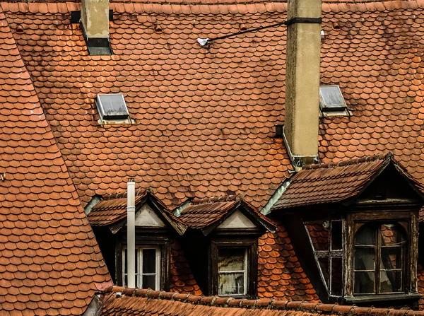 棕色的旧屋顶屋顶瓷砖 欧洲的房子 老式屋顶瓷砖 阁楼的窗户 德国班贝格 — 图库照片