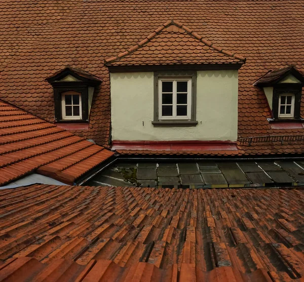Braunes Altes Dach Mit Grünem Moos Dachziegel Europäisches Haus Dachziegel — Stockfoto