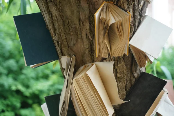 Откройте Чистые Пустые Книги Висящие Стволе Дерева Фоновое Текстурное Дерево — стоковое фото