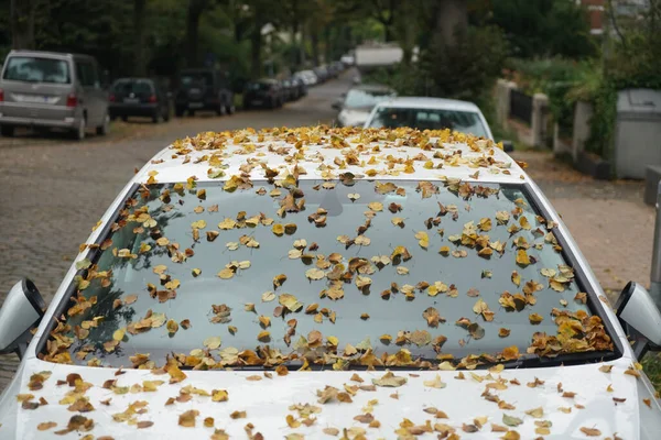 Αυτοκίνητο Στο Δρόμο Φθινοπωρινά Φύλλα Πεσμένο Ξηρό Καφέ Φύλλα Linden — Φωτογραφία Αρχείου