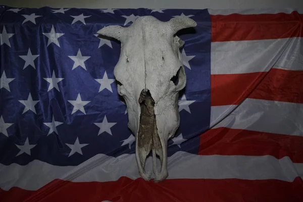 Old Cow Skull Flag United States America Usa Flag — Stock Photo, Image