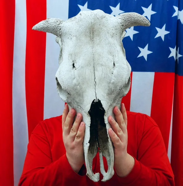 Man Holding Cow Skull Front His Head Front American Flag — Stock Photo, Image