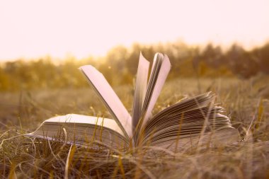 Günbatımında ufuk çizgisi olan açık dokuma sayfası arka planı sonbahar tarlasında güneş batımında kuru sarı yeşil çimenler ve bahar ormanı zemininde yatıyor. Okula dönme fikri, eğitim.. 