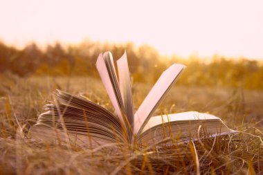 Background of open texture page book with horizon on sunset  lying in autumn fall field on dry yellow green fresh grass on sun set sky and spring forest backdrop. Idea of back to school, education.  clipart