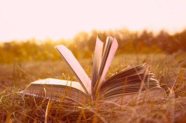 Günbatımında ufuk çizgisi olan açık dokuma sayfası arka planı sonbahar tarlasında güneş batımında kuru sarı yeşil çimenler ve bahar ormanı zemininde yatıyor. Okula dönme fikri, eğitim.. 