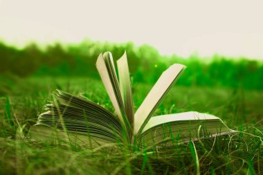 Günbatımında ufuk çizgisi olan açık dokuma sayfası arka planı sonbahar tarlasında güneş batımında kuru sarı yeşil çimenler ve bahar ormanı zemininde yatıyor. Okula dönme fikri, eğitim.. 