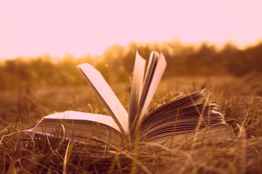 Günbatımında ufuk çizgisi olan açık dokuma sayfası arka planı sonbahar tarlasında güneş batımında kuru sarı yeşil çimenler ve bahar ormanı zemininde yatıyor. Okula dönme fikri, eğitim.. 