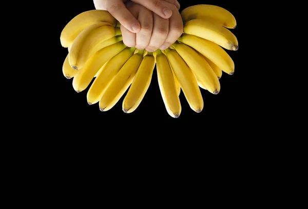 男性の手にミニバナナの束 黒地に隔離されたエキゾチックな果物のイメージ — ストック写真