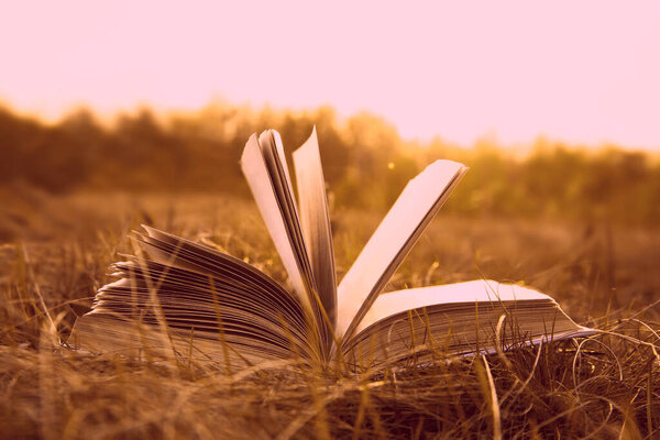 Background of open texture page book with horizon on sunset lying in autumn fall field on dry yellow green fresh grass on sun set sky and spring forest backdrop. Idea of back to school, education.