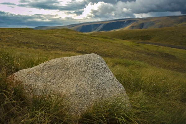 山と1つの大きな丸い石からの眺め 石の岩の周りの緑の草 アルタイ山 — ストック写真