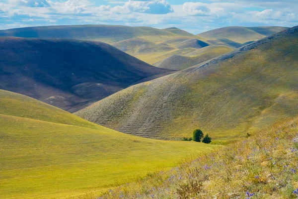 山の牧草地 丘の多くの端 青空にふわふわの雲が広がる素晴らしい夏の風景 草の間の野生のハーブ 尾根の距離に転がり込む ロシアのオレンブルク地方 — ストック写真