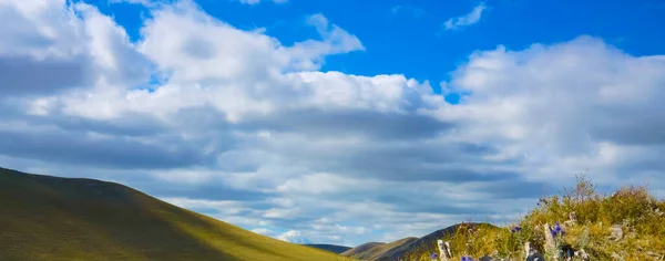 landscape with rock. Orenburg region, Russia. Meadow with green grass and violet flowers. nature background. flowers on the rocky path uphill. summer nature scenery. clouds on the sky