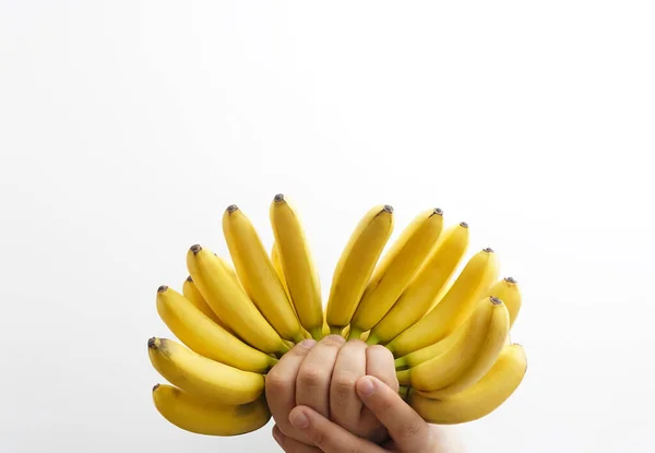 男性の手にミニバナナの束 白い背景に隔離されたエキゾチックな果物のイメージ — ストック写真