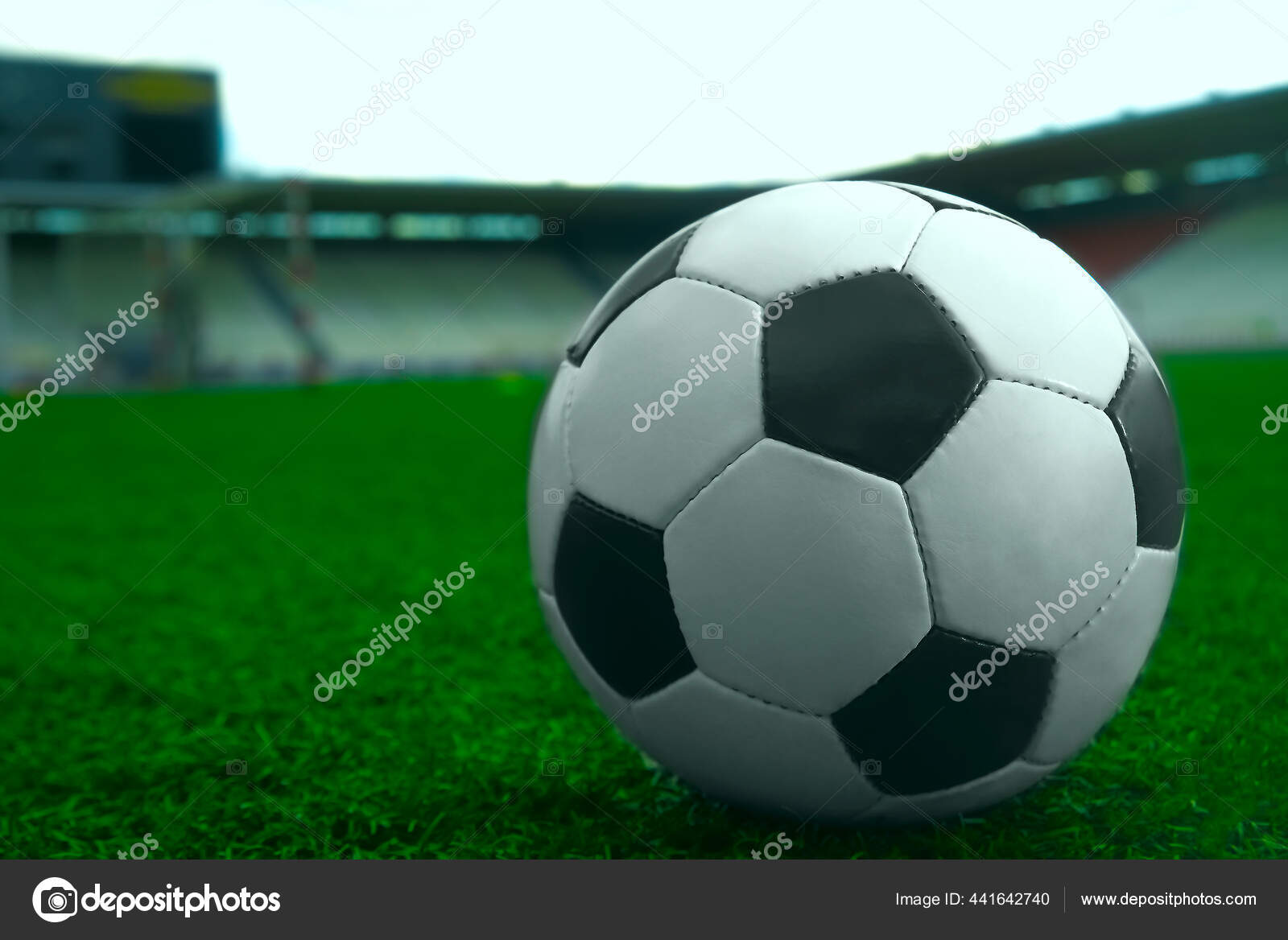 绿色草地上的白色和黑色足球和体育场背景体育博彩理念——图库图片© borjomi88 #441642740