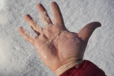 Erkek el ele tutuşan kar. Avuçta eriyen kar. Kış ya da ilkbahar sezonu fikri. Buzlar çözüldü.. 