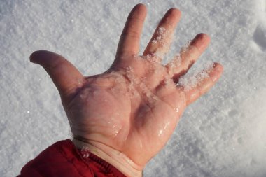 Erkek el ele tutuşan kar. Avuçta eriyen kar. Kış ya da ilkbahar sezonu fikri. Buzlar çözüldü.. 