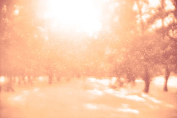 Immagine Sfocata Nevicate Alla Luce Diretta Del Sole Fiocchi Neve — Foto Stock