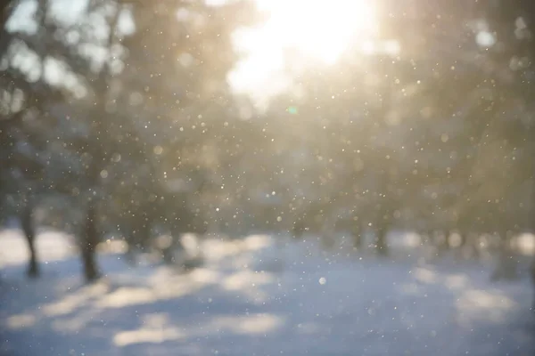 Immagine Sfocata Nevicate Alla Luce Diretta Del Sole Fiocchi Neve — Foto Stock