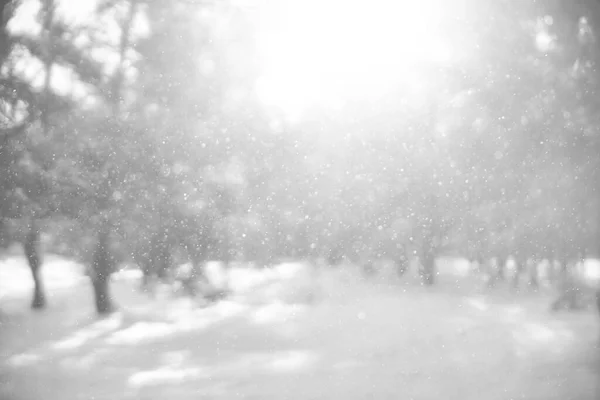 Unscharfes Bild Schneefall Direktem Sonnenlicht Schneeflocken Als Funkeln Fliegen Der — Stockfoto