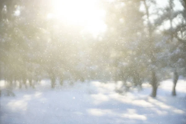 Unscharfes Bild Schneefall Direktem Sonnenlicht Schneeflocken Als Funkeln Fliegen Der — Stockfoto