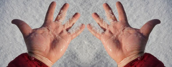 Männliche Hand Hält Schnee Der Hand Schmelzender Schnee Auf Palmen — Stockfoto
