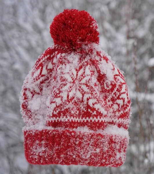 snowy red knitted cap with pompom  in a winter forest.  no people. snowfall in park.