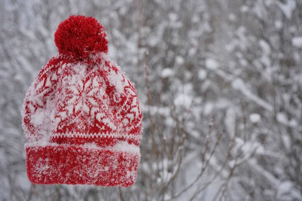 snowy red knitted cap with pompom  in a winter forest.  no people. snowfall in park.