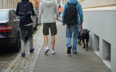 Beyaz sırt çantalı üç genç adam ve şehirde yürüyen iki siyah köpek. Geriye, dikiz aynasına. Avrupa, Almanya.