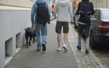 Beyaz sırt çantalı üç genç adam ve şehirde yürüyen iki siyah köpek. Geriye, dikiz aynasına. Avrupa, Almanya.