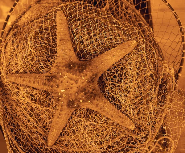 Big Sea Star Lie Fishing Net — Stock Photo, Image