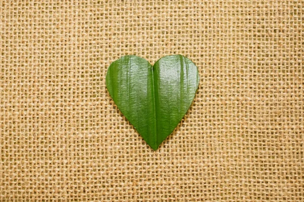 Hartvormige Groene Blaadjes Liggen Achtergrond Van Een Zak Lege Kopieerruimte — Stockfoto