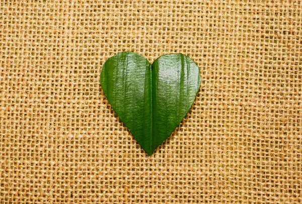 Hartvormige Groene Blaadjes Liggen Achtergrond Van Een Zak Lege Kopieerruimte — Stockfoto