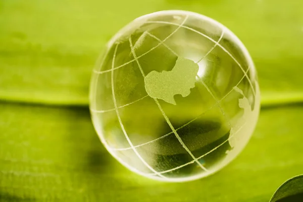 Γυαλιά Διαφανή Σφαίρα Πράσινο Φόντο Φύλλων Έννοια Για Περιβάλλον Και — Φωτογραφία Αρχείου