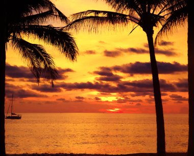 Tropikal sahilde palmiye ve uzun kuyruklu teknelerle gün batımı. Güzel tropikal sahil manzaralı gün batımı palmiye ağacı ve tekne ile. Pukhet Adası, Tayland