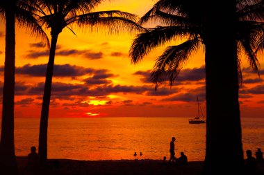 Tropikal sahilde palmiye ve uzun kuyruklu teknelerle gün batımı. Güzel tropikal sahil manzaralı gün batımı palmiye ağacı ve tekne ile. Pukhet Adası, Tayland