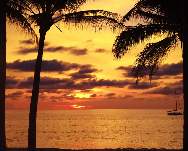 Sunset with palm and longtail boats on tropical beach.  beautiful tropical beach view sunset with palm tree and boat. Pukhet island, Thailand