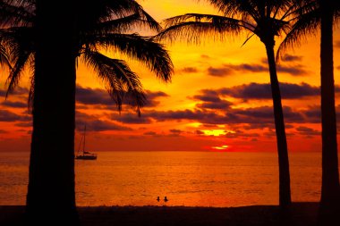 Tropikal sahilde palmiye ve uzun kuyruklu teknelerle gün batımı. Güzel tropikal sahil manzaralı gün batımı palmiye ağacı ve tekne ile. Pukhet Adası, Tayland