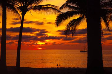 Tropikal sahilde palmiye ve uzun kuyruklu teknelerle gün batımı. Güzel tropikal sahil manzaralı gün batımı palmiye ağacı ve tekne ile. Pukhet Adası, Tayland