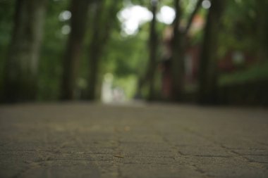 Kaldırım döşeme yolu kaldırım taşı yaprakları çerçeveli İlkbahar ya da yaz parkı içine. Seçici odaklanma. düşük atış açısı