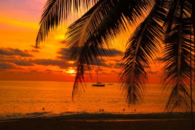 Tropikal sahilde palmiye ve uzun kuyruklu teknelerle gün batımı. Güzel tropikal sahil manzaralı gün batımı palmiye ağacı ve tekne ile. Pukhet Adası, Tayland