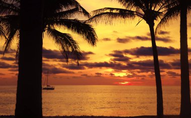 Tropikal sahilde palmiye ve uzun kuyruklu teknelerle gün batımı. Güzel tropikal sahil manzaralı gün batımı palmiye ağacı ve tekne ile. Pukhet Adası, Tayland
