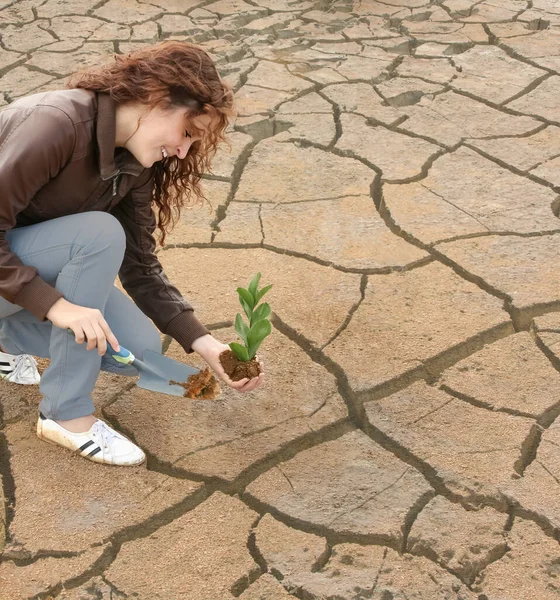 Soil Hands Young Woman Seedlings Grow Fertile Soil Shovel Hand — Stock Photo, Image